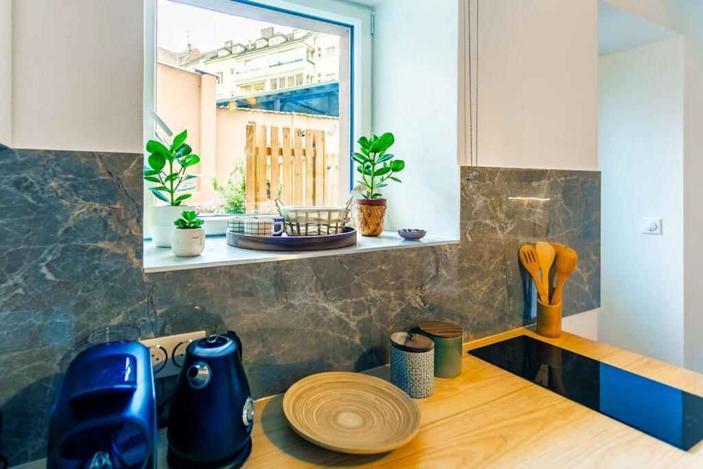 Le Jardin De L'Hyser Στρασβούργο Εξωτερικό φωτογραφία